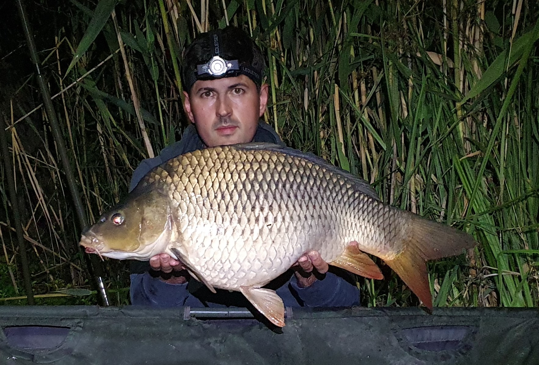 Tancabesti 9 - 12 iulie 2020 - 7kg